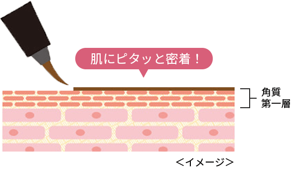 消えやすい眉尻もキープ！描いて染めるティント処方